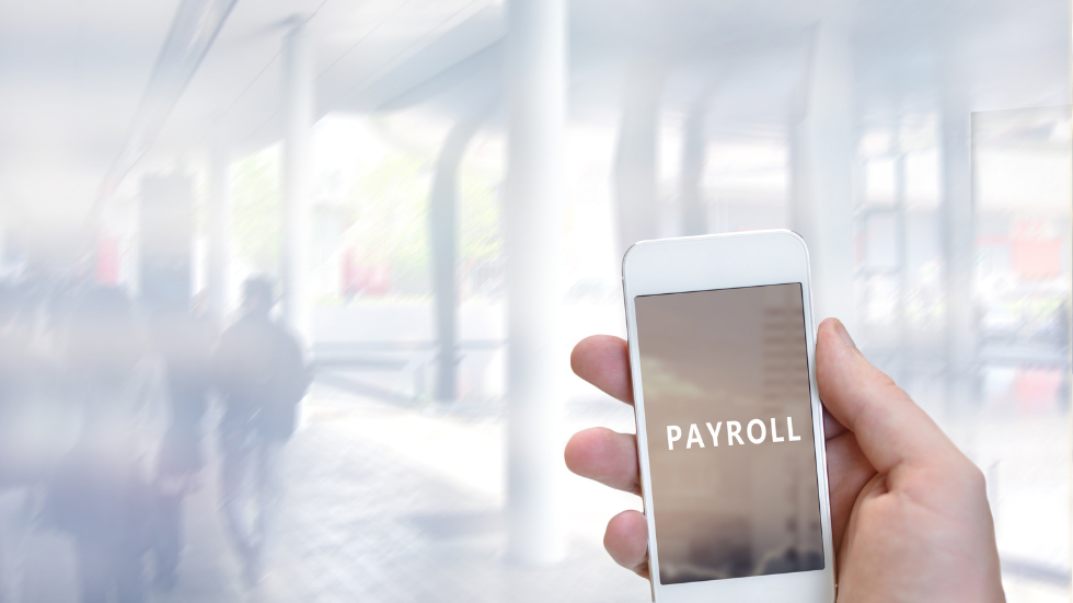 Integrated Payroll Systems in South African Businesses
