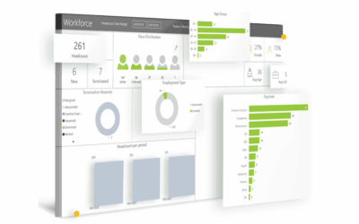 PaySpace Payroll 2025 | 5 Software Tools Durban Small Businesses Trust